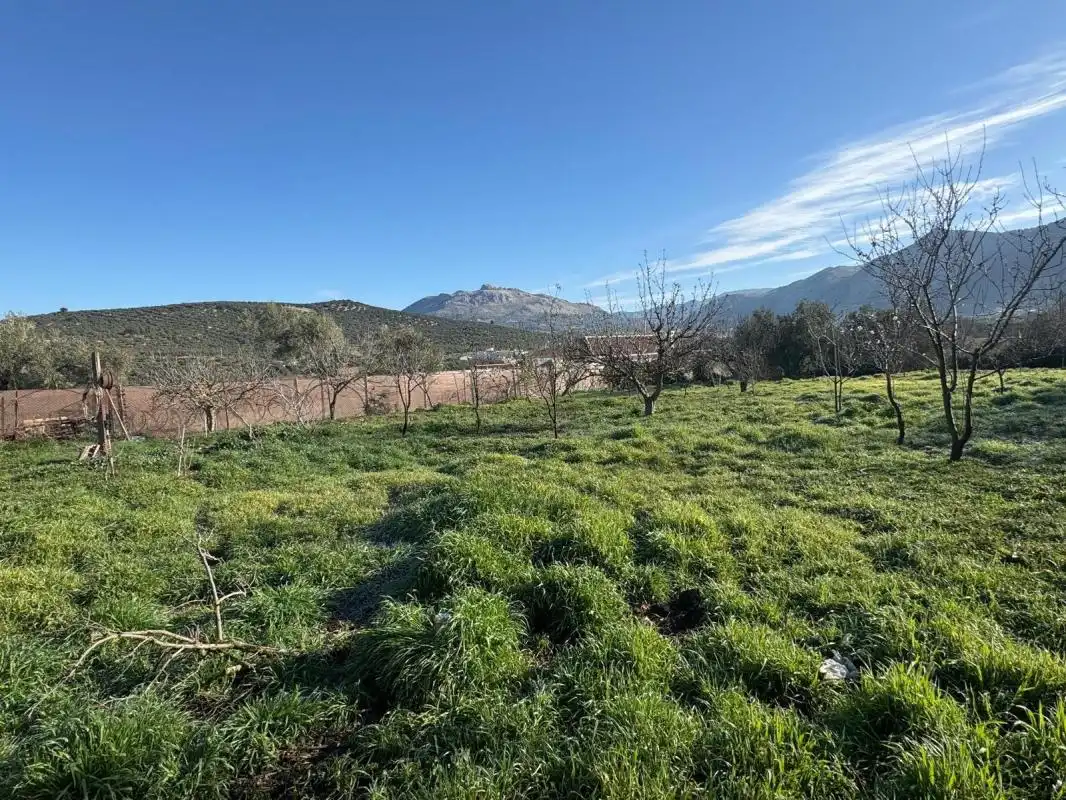 Country homes for sale in Av. de Antoñico Rosa, Villanueva del Trabuco