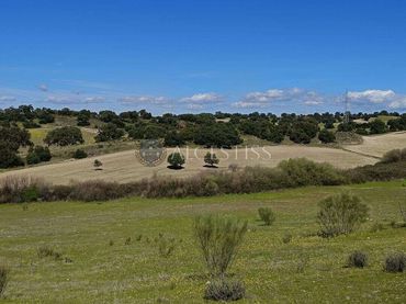 Terreno rústico en venta en Villamanta
