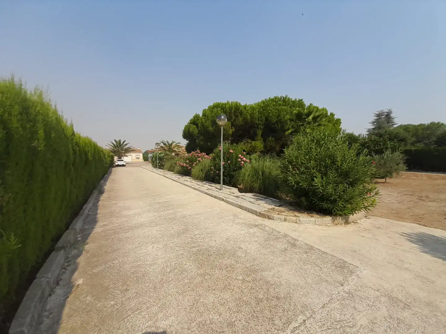 House with pool for sale in Antigua Nacional 420, imagen 23