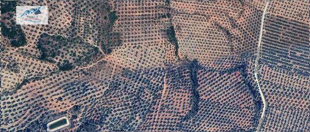 Terreno en Venta en Polígono Sorihuela del Guadalimar. Parcela 59 en Sorihuela del Guadalimar