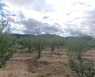 Terreny en venda en L'Aleixar