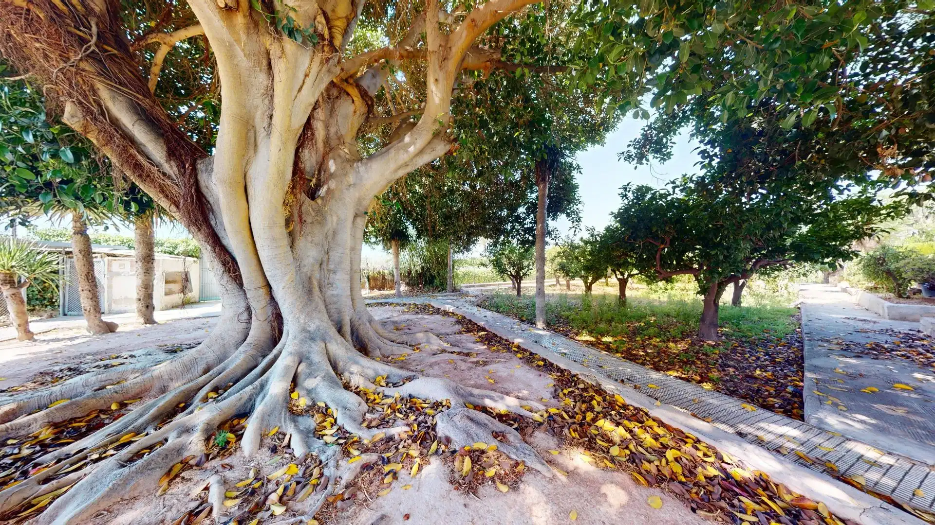 Villa avec piscine à vendre à Elche ciudad, imagen 18