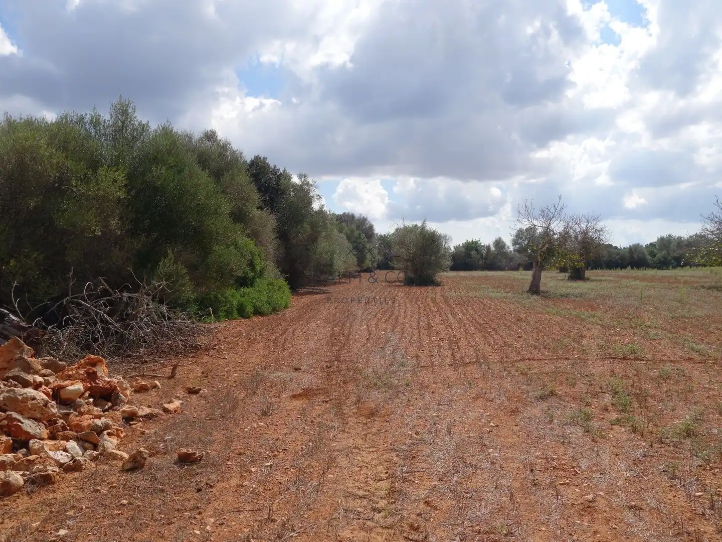 Residential land for sale in Felanitx Poble, imagen 11