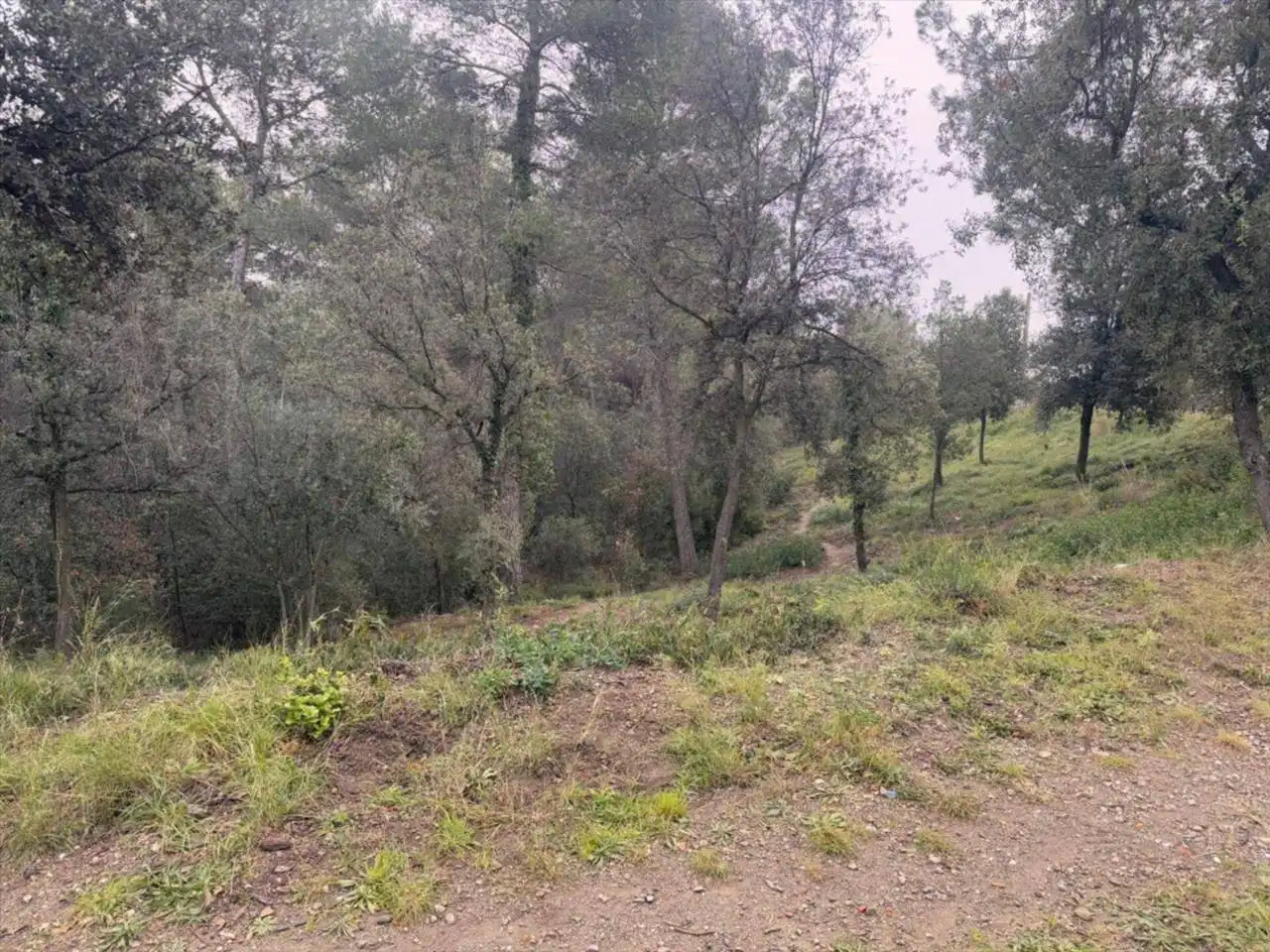 Terreno rústico en venta en Viladecavalls, imagen 3
