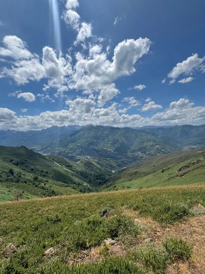 Lands and plots for sale in Lena