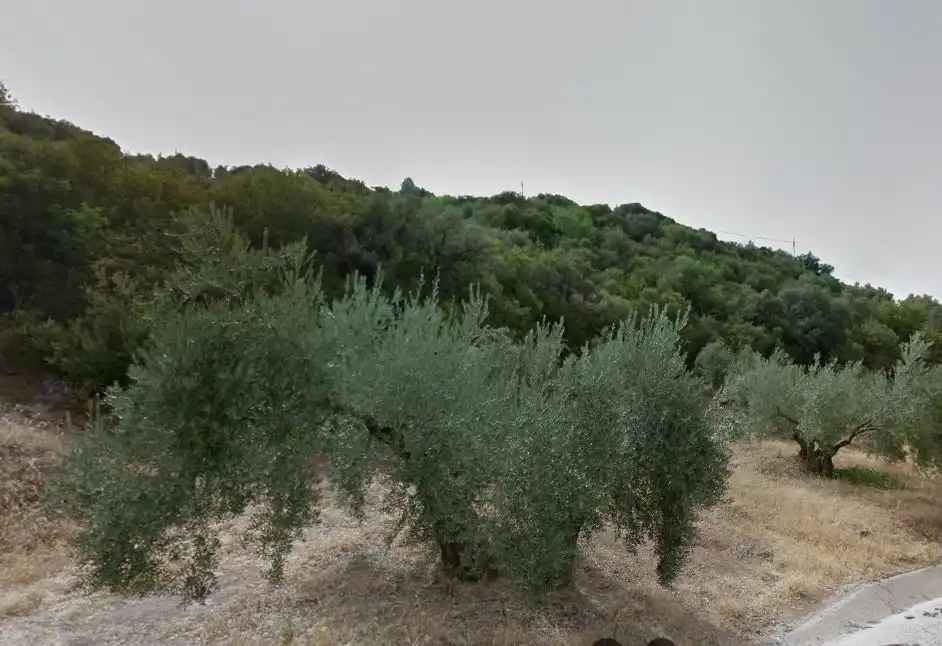 Terreni e lotti in vendita a Martos, imagen 3