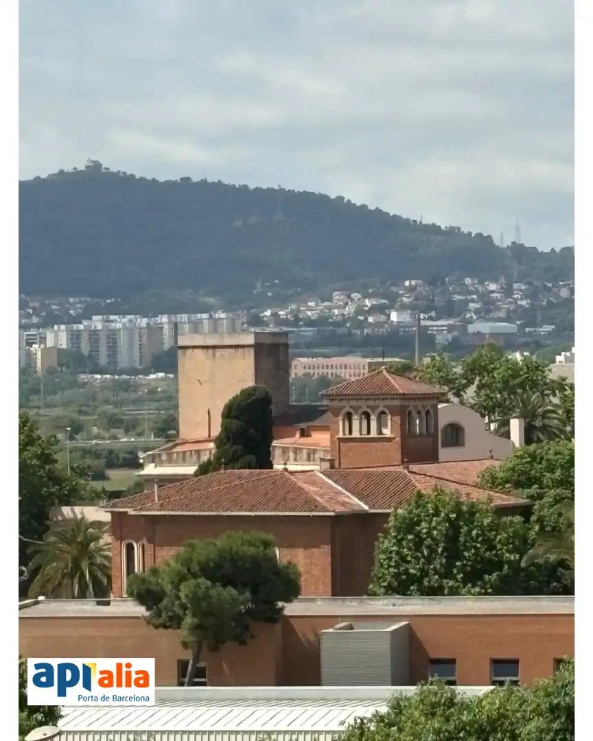 Wohnung mit Terrasse zum Verkauf in Carrer de Joana Raspall, imagen 20