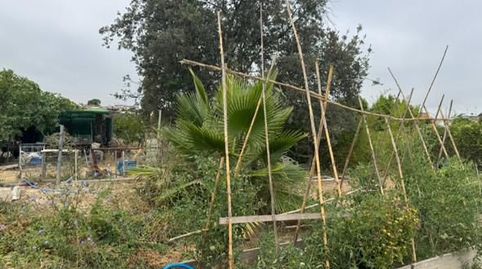 Foto 2 de Finca rústica en venta en El Rocío - La Milagrosa, Jerez de la Frontera