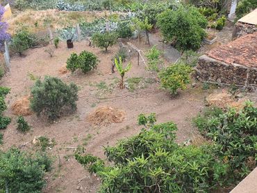 Terreno rustico in vendita a Calle Calle el soldador