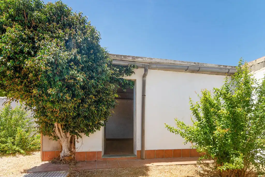 Chalet en venta en Camino Simón Bolívar, imagen 19