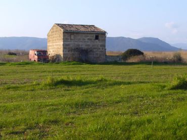 Terrenos y solares en venta en Muro