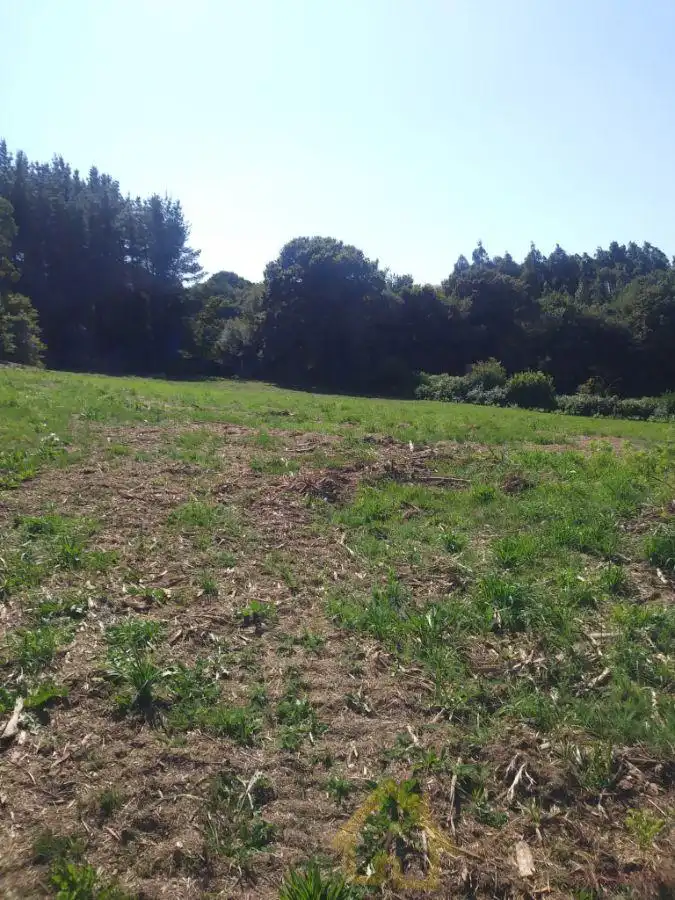 Finca rústica en venta en Castro de Rei