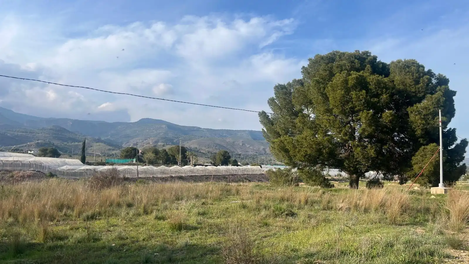 Terreno en venta en Totana