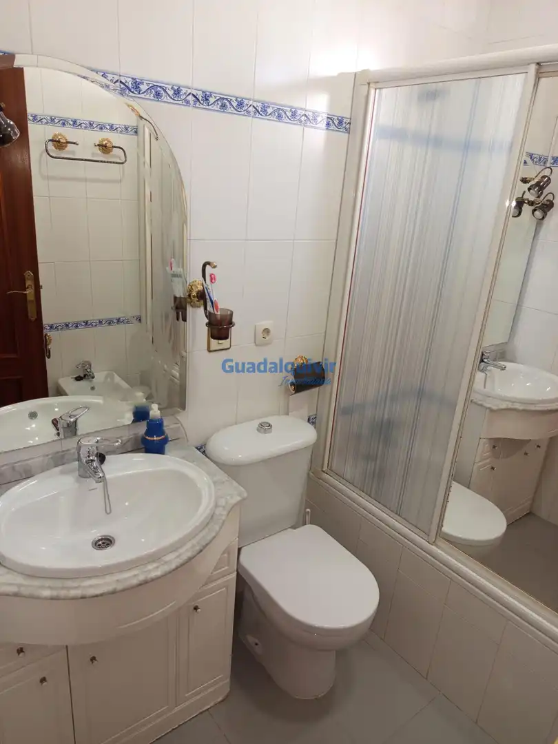 Chalet con piscina en venta en Cerros de Montequinto, imagen 75