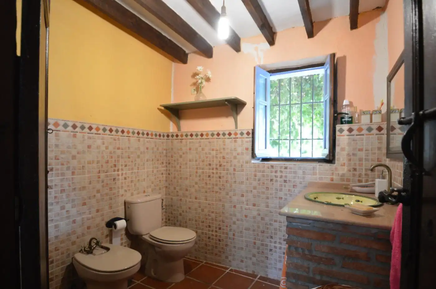 Finca rústica en venta en Beires
