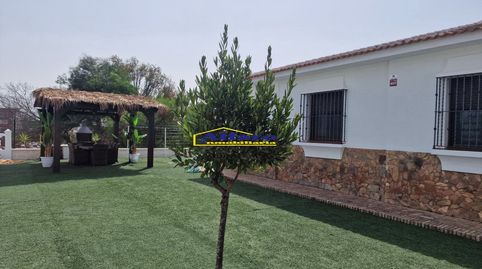 Foto 3 de Casa o chalet en venta en Caño Guerrero, Almonte