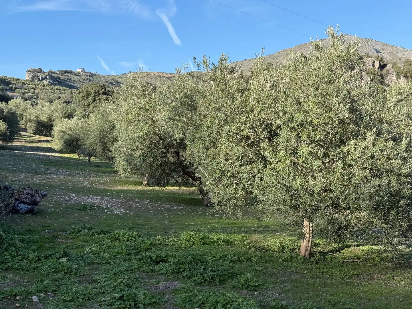 Rustikales Grundstück zum Verkauf in 8536+FQ Algarra sales, Spain