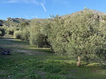 Rustikales Grundstück zum Verkauf in 8536+FQ Algarra sales, Spain