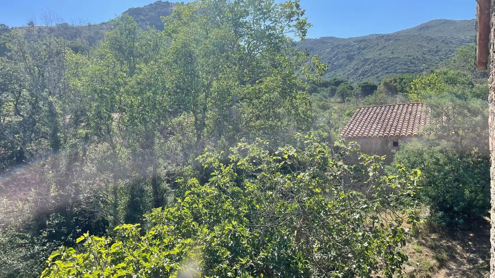 Vista exterior de Finca rústica en venta en Vilajuïga con Terraza, Trastero y Balcón