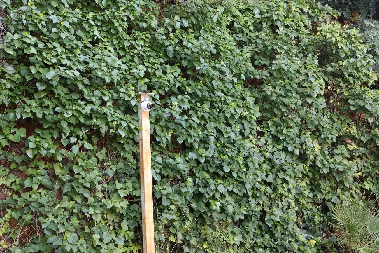 Maison avec jardin à vendre à N/A, imagen 20
