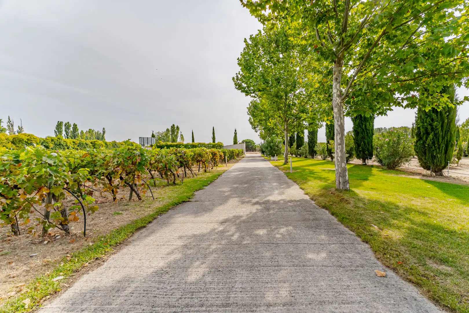 Vista exterior de Edificio en venta en Laguna de Duero