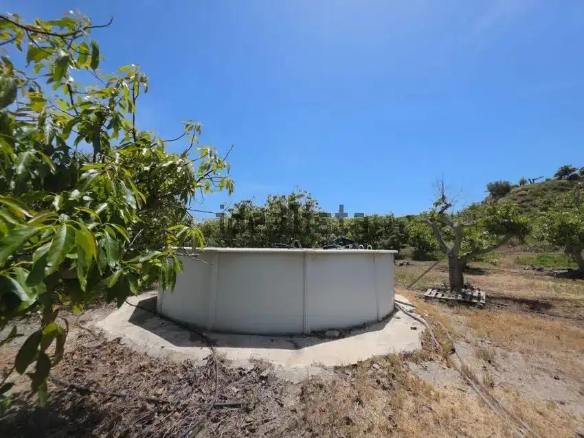Piscina de Finca rústica en venda en Vélez-Málaga amb Jardí privat, Terrassa i Piscina