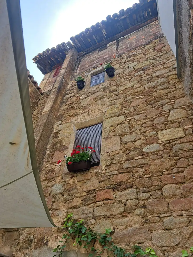 Vista exterior de Casa o chalet en venta en Solsona con Aire acondicionado, Calefacción y Amueblado