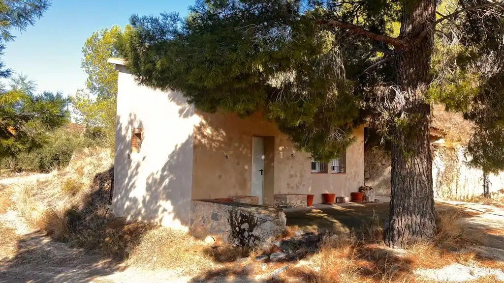 Terreny rústic en venda a Carrer del Dimecres, imagen 8