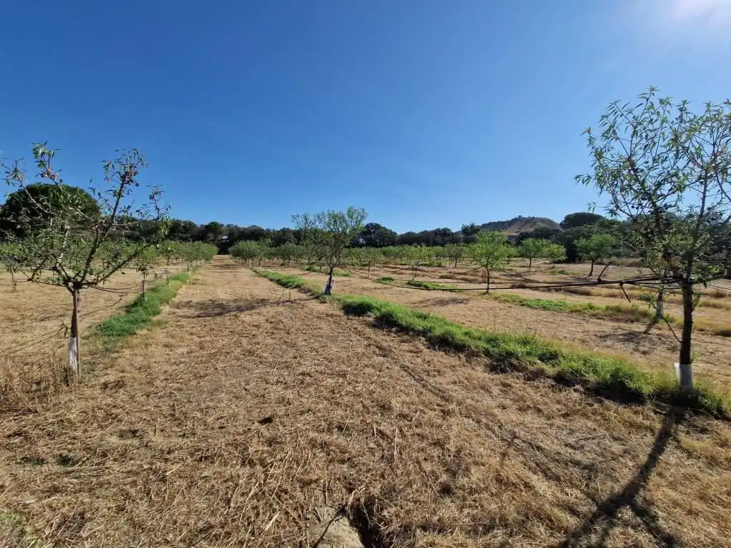 Terreno en venta en Binaced