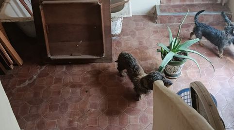 Foto 5 de Piso de alquiler en Arcos de las Salinas, Teruel