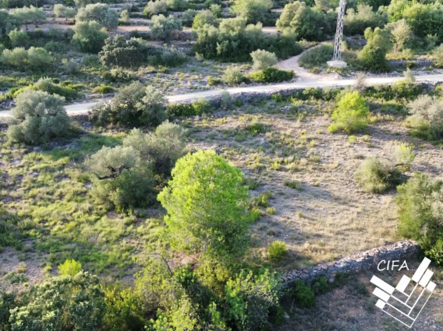 Terreno rustico in vendita a 14