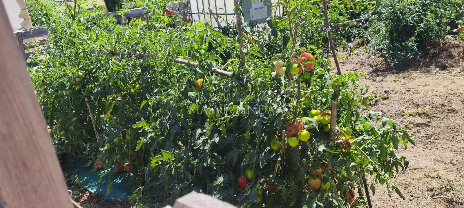 Casa amb jardí en venda a Entenza, imagen 37
