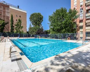 Swimming pool of Flat to rent in  Madrid Capital  with Air Conditioner, Heating and Parquet flooring