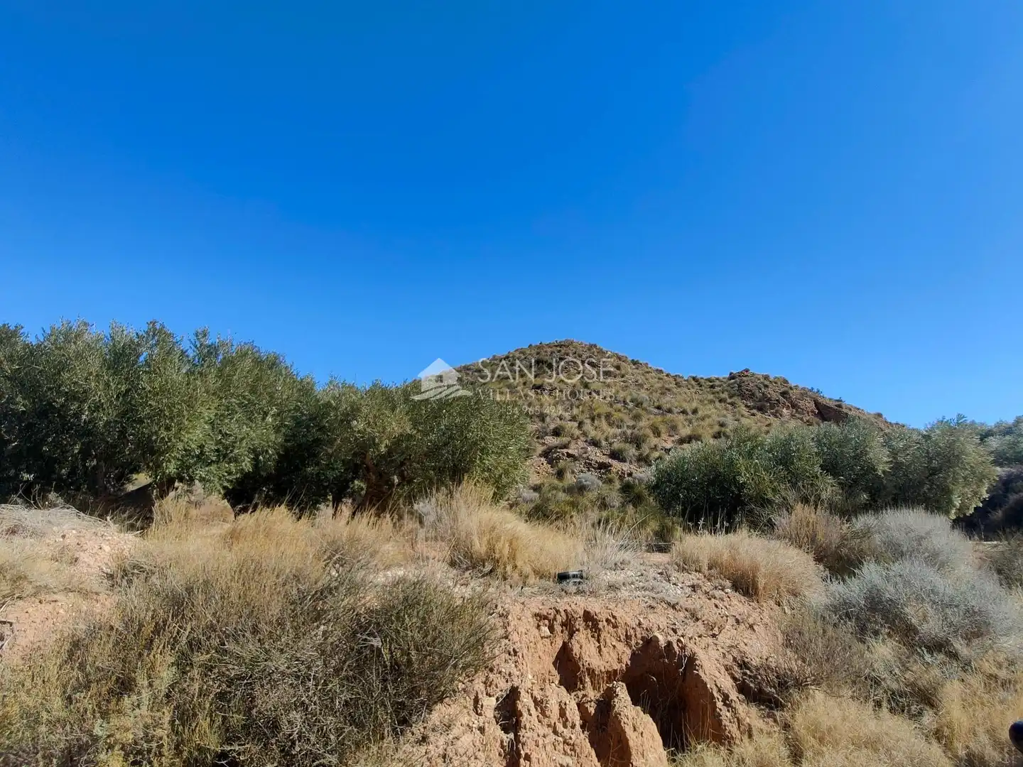 Lands and plots for sale in Abanilla, imagen 11