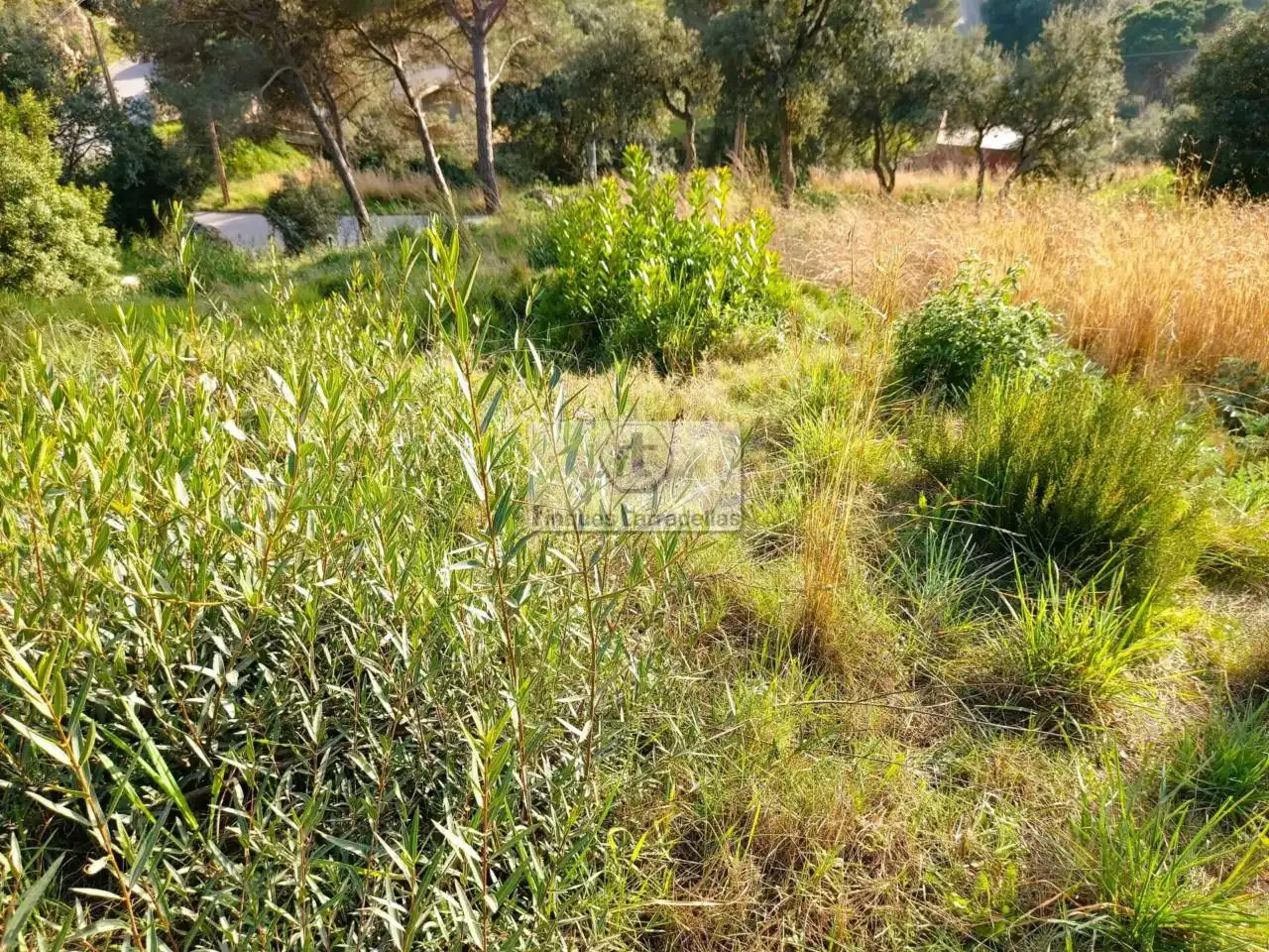 Residential land for sale in Niàgara Parc - Àgora Parc, imagen 9