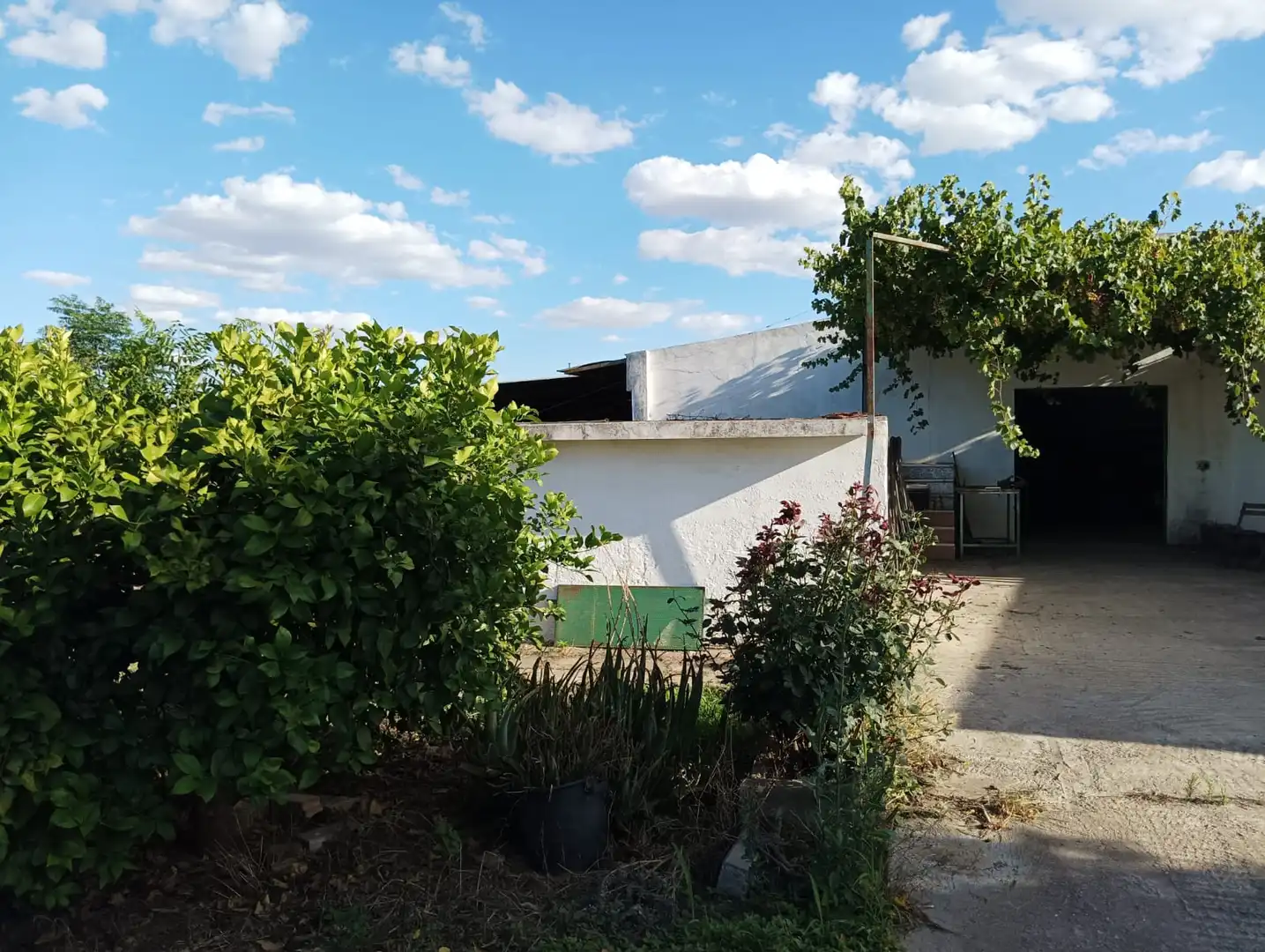 Jardín de Terreno en venta en La Algaba