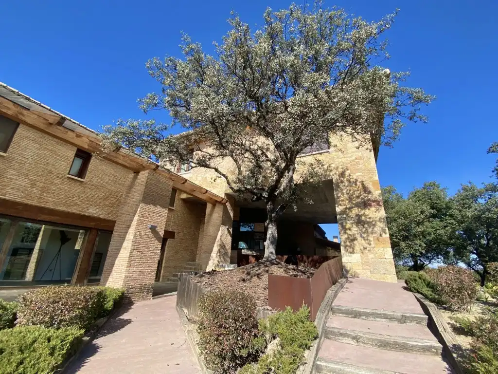 Villa in vendita a Ciudalcampo, imagen 53
