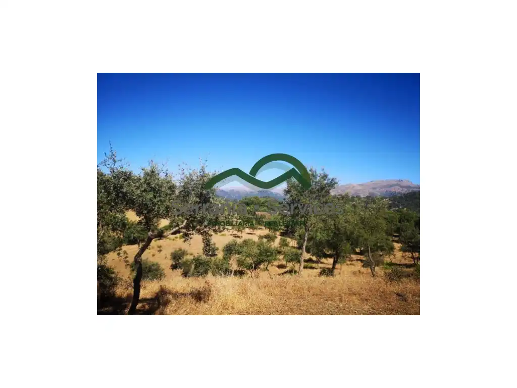 Finca rústica en venda en Faraján
