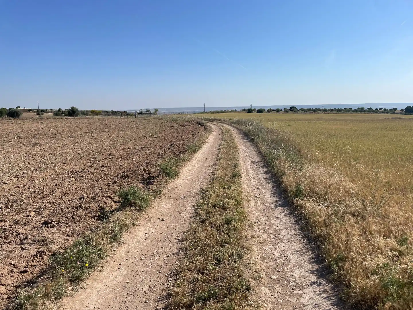 Terreno rustico in vendita a Ontígola, imagen 2