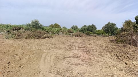 Foto 4 de Terreno en venta en Camino de Santa Agueda, 51, Campanillas, Málaga Capital