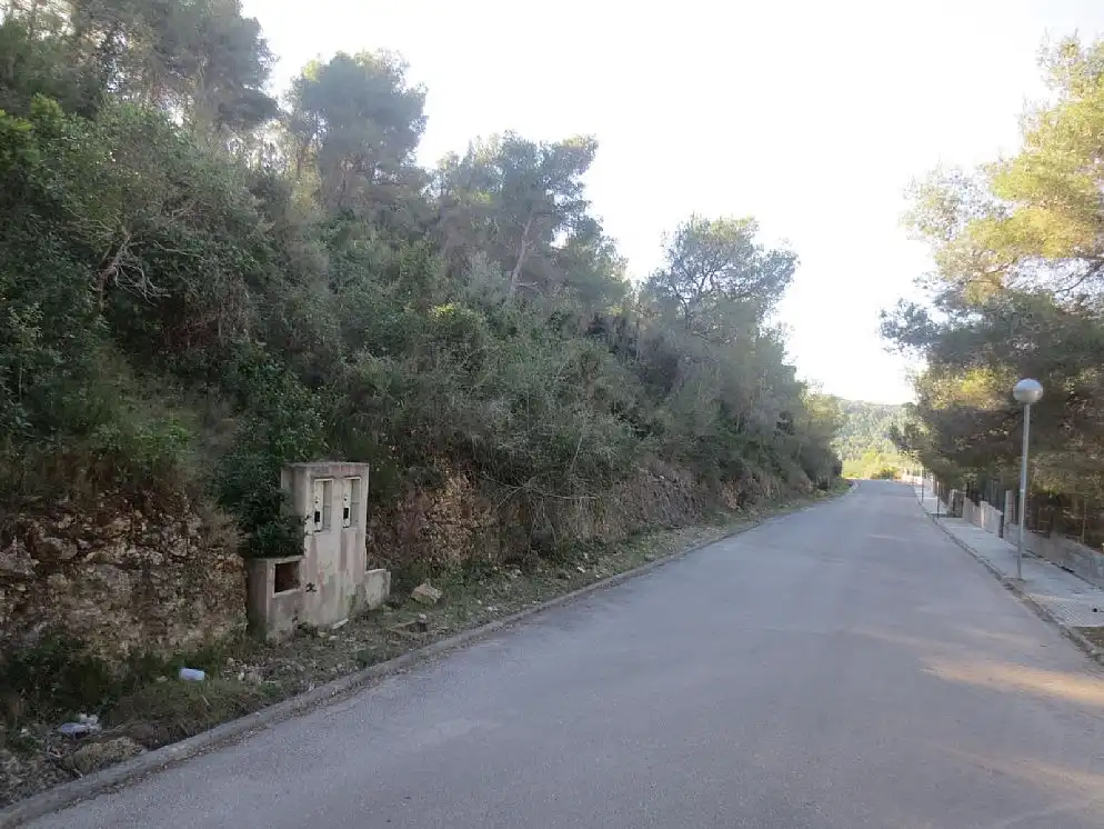 Rural land for sale in CL Pinos Nº 22, imagen 5