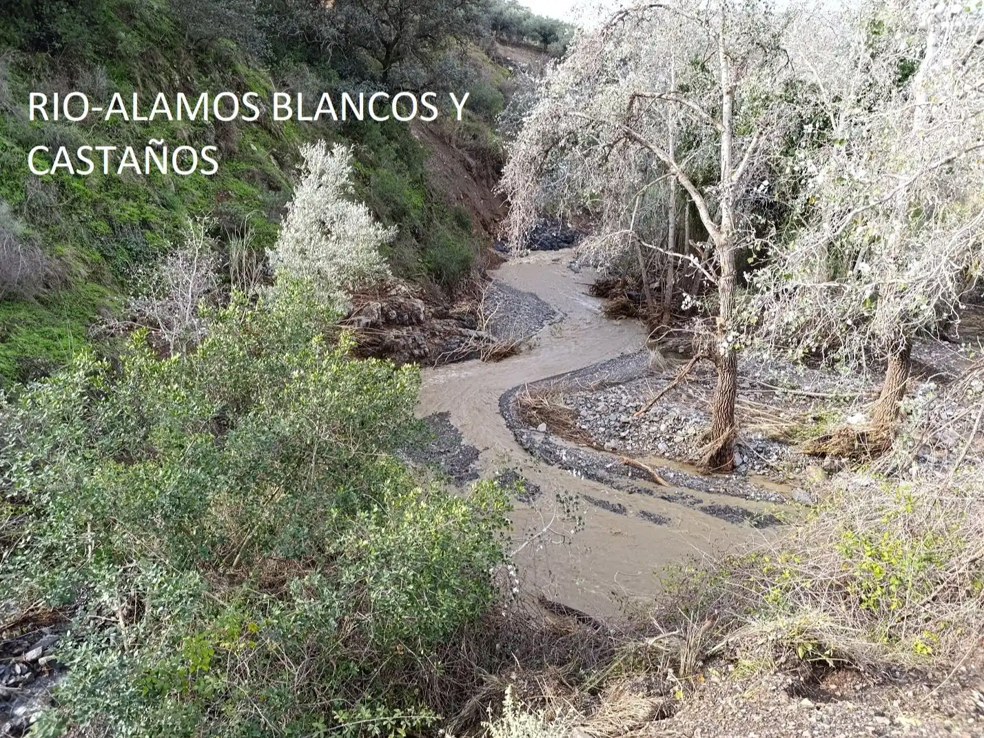 Terreno en venta en Málaga