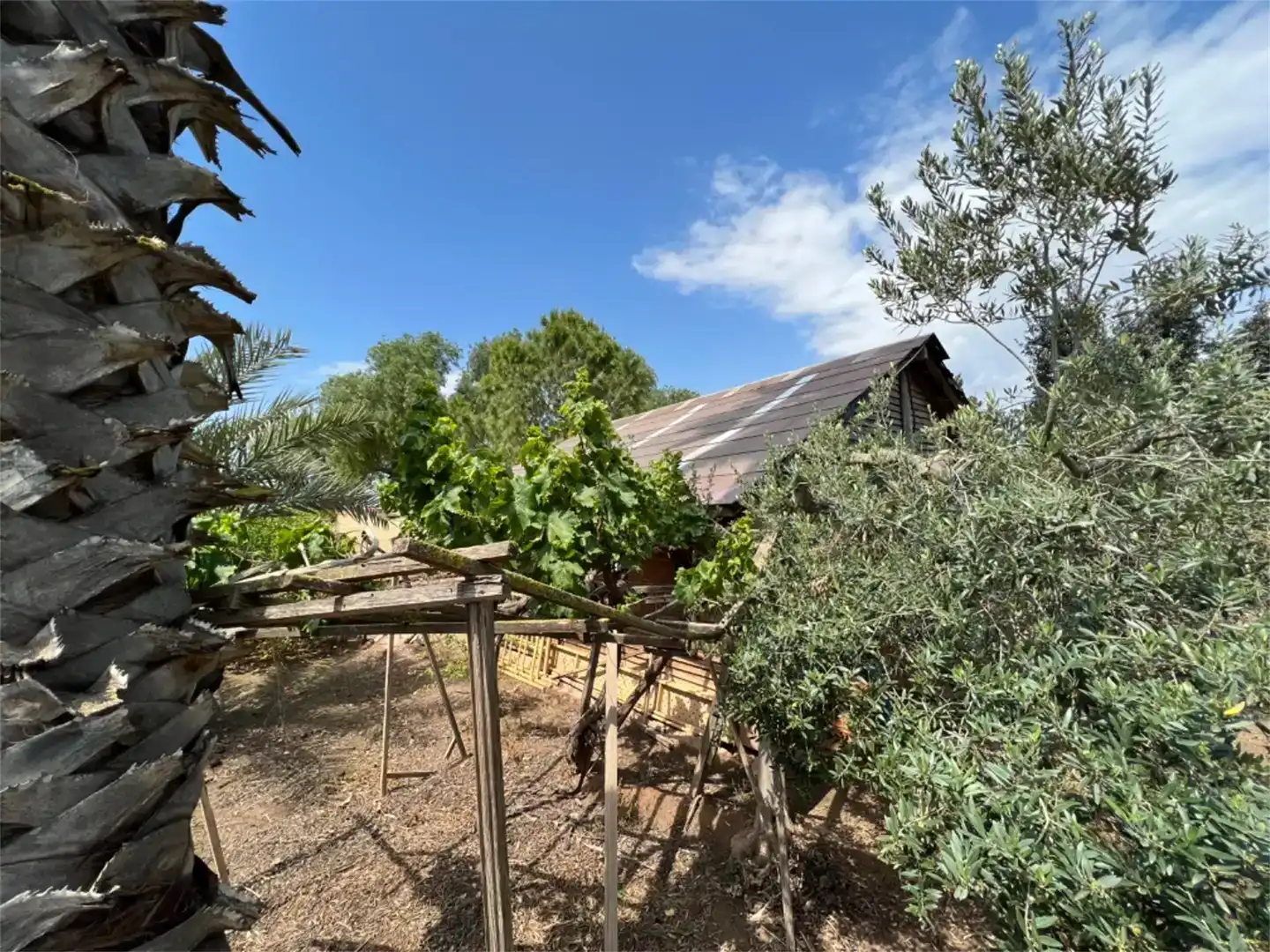 Terreno en venta en Alhama de Murcia ciudad