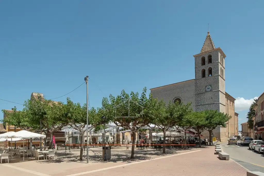 Vista exterior de Finca rústica en venta en Campanet con Aire acondicionado, Jardín privado y Terraza
