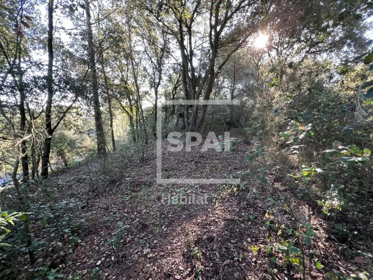Terrain rustique à vendre à Sant Quirze Safaja - CL PUIG DARI, imagen 5