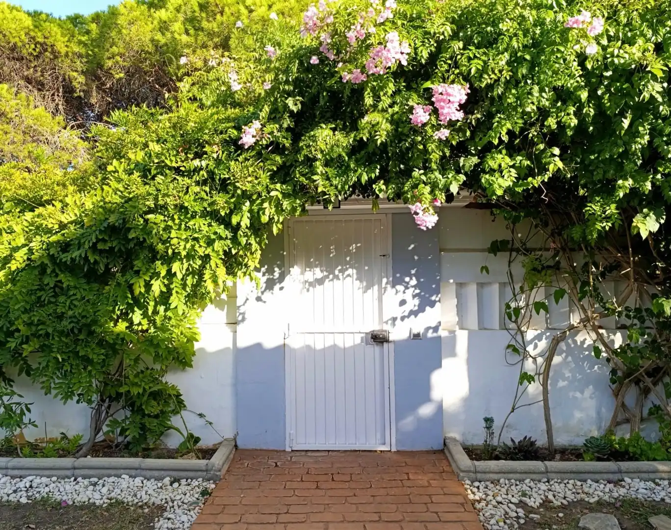 Jardí de Casa o xalet en venda en Chiclana de la Frontera amb Aire condicionat, Jardí privat i Traster