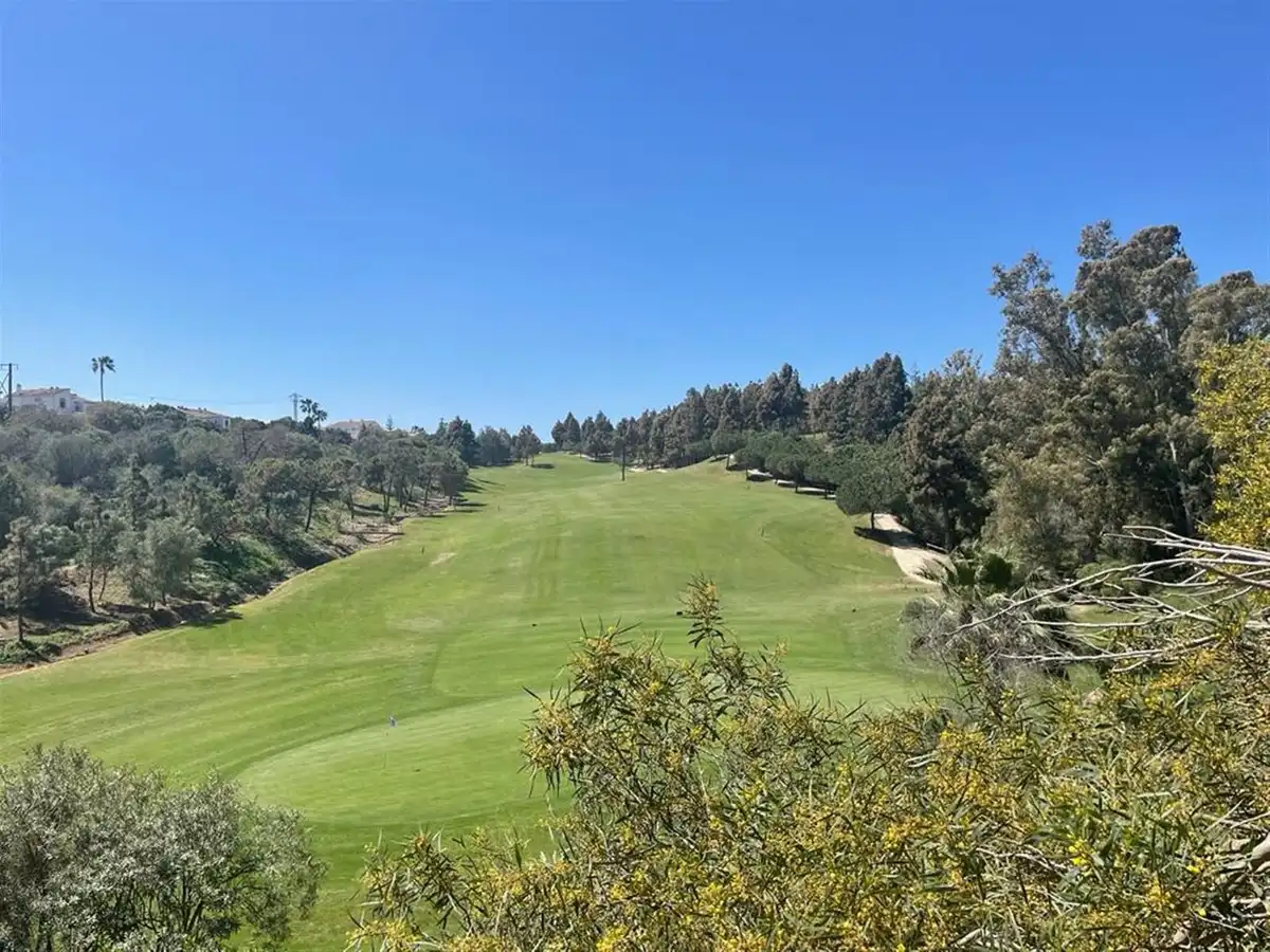 Vista exterior de Casa o xalet en venda en Mijas amb Aire condicionat, Jardí privat i Piscina