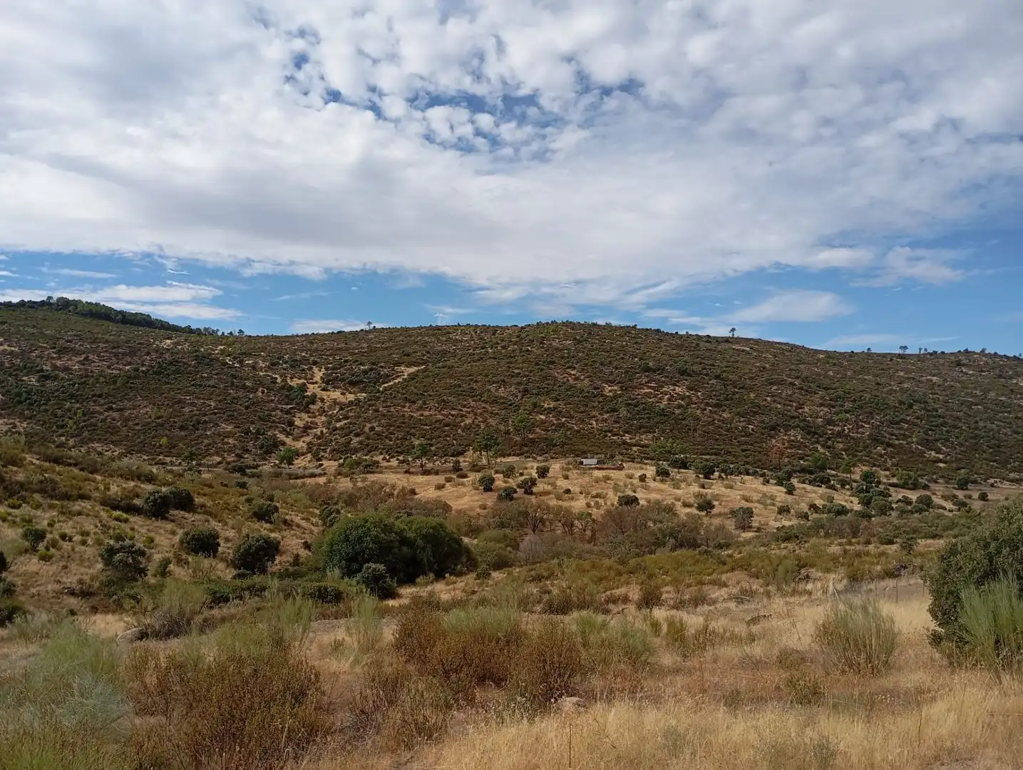 Terrenos y solares en venta en Robledo de Chavela, imagen 5