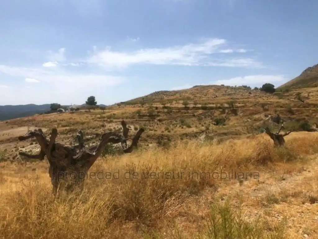Terreno rustico in vendita a Poligono 248 Paraje 1423 Fontanar, imagen 4