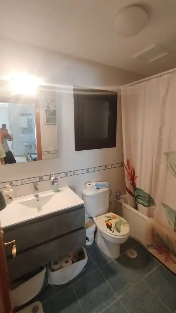 Casa o chalet en venta en El Matorral